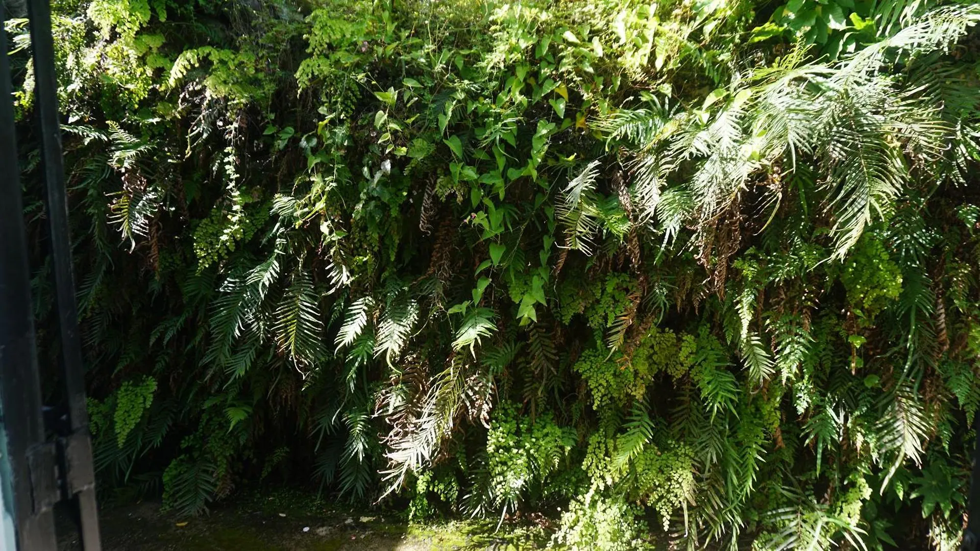 Posada Fabian Utuado